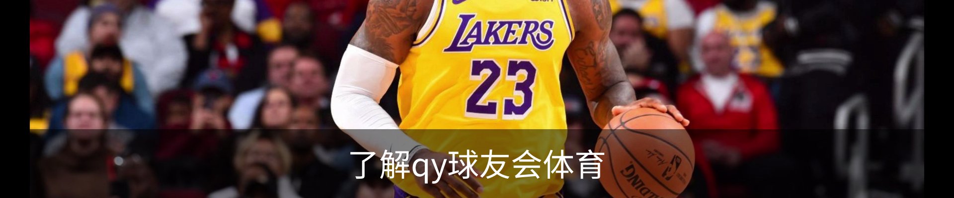 了解qy球友会体育